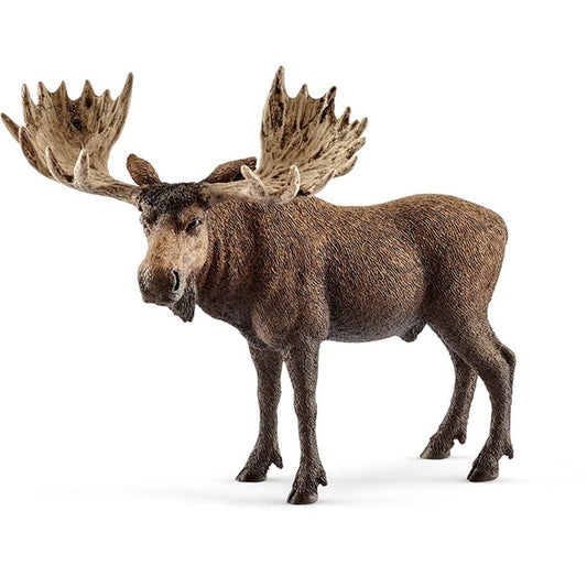 SC Moose Bull (4588694994979)