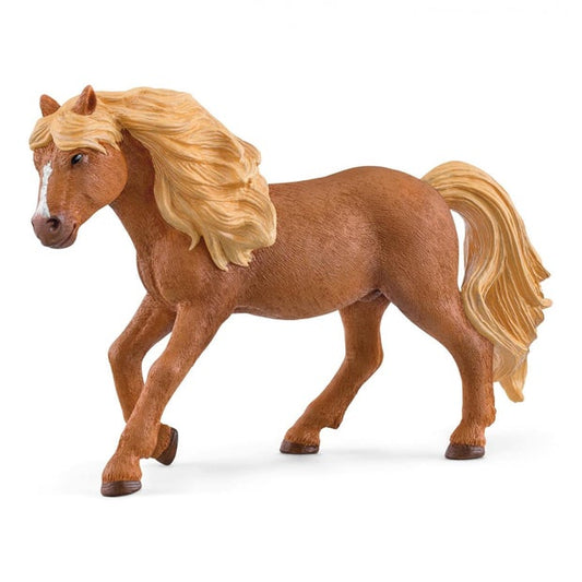 SC Iceland Pony Stallion (7356405088455)