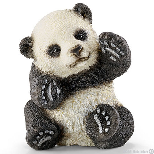 SC Panda Cub Playing (4575937527843)