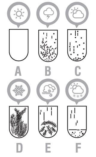 Fitzroys Storm Glass 28cm (6722011726023)