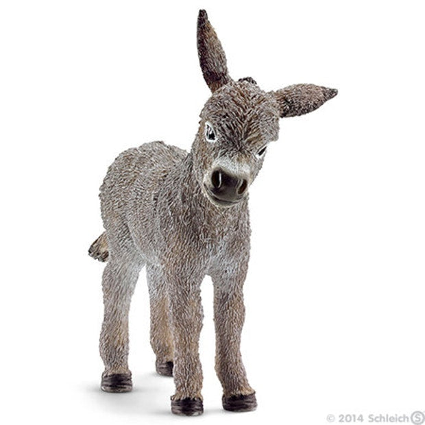 SC Donkey Foal (4561266704419)