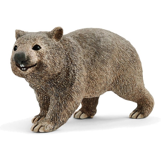 SC Wombat (6601303883975)