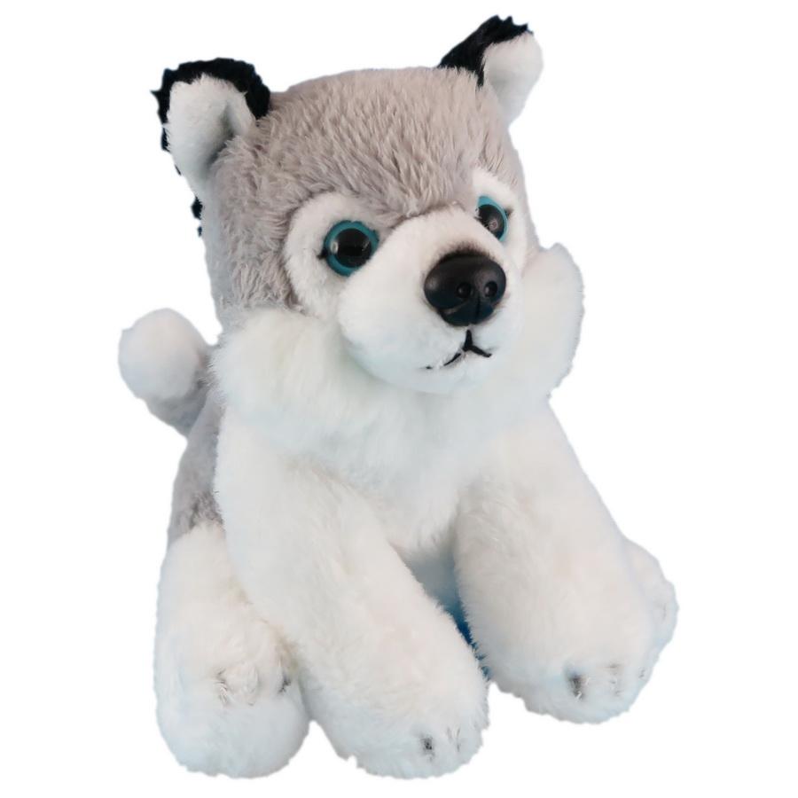 Wild Mini Husky (4571395653667)