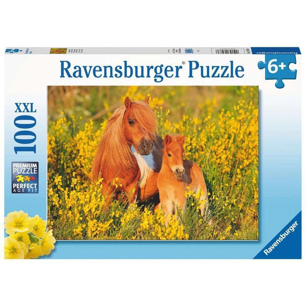 RB Shetland Ponies 100pc (7334898106567)