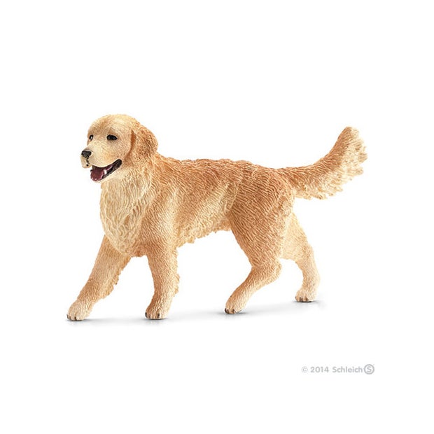 SC Golden Retriever Female (6601302900935)