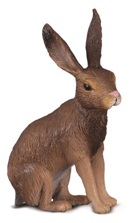 CO Brown Hare (S) (7143678443719)