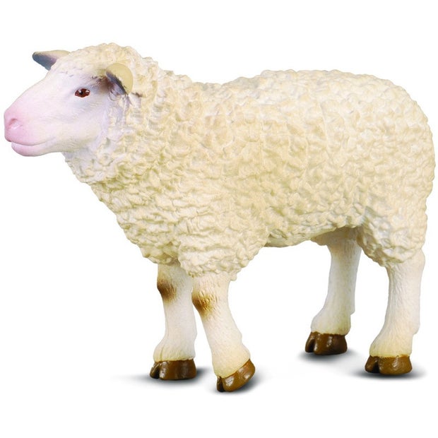 Sheep (7143678312647)