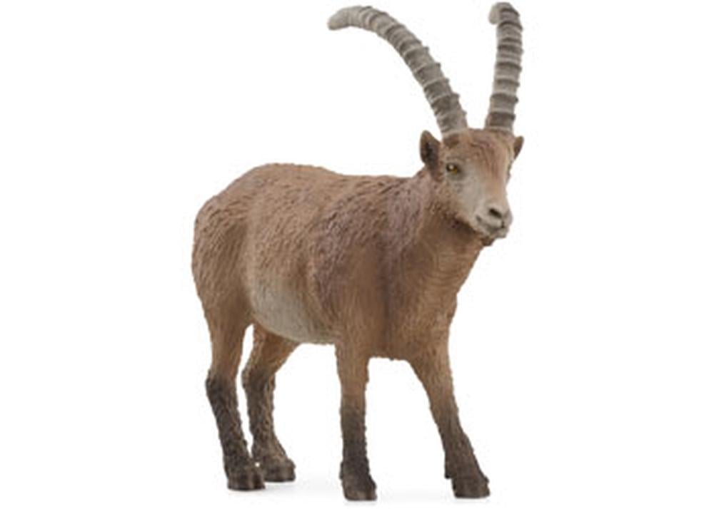 Schleich Ibex (8028599288007)
