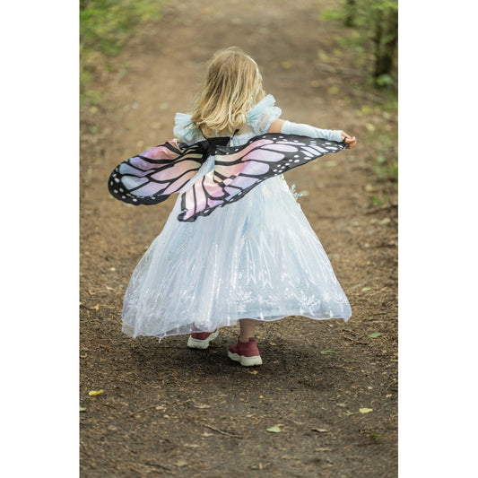 Butterfly Wings Rainbow