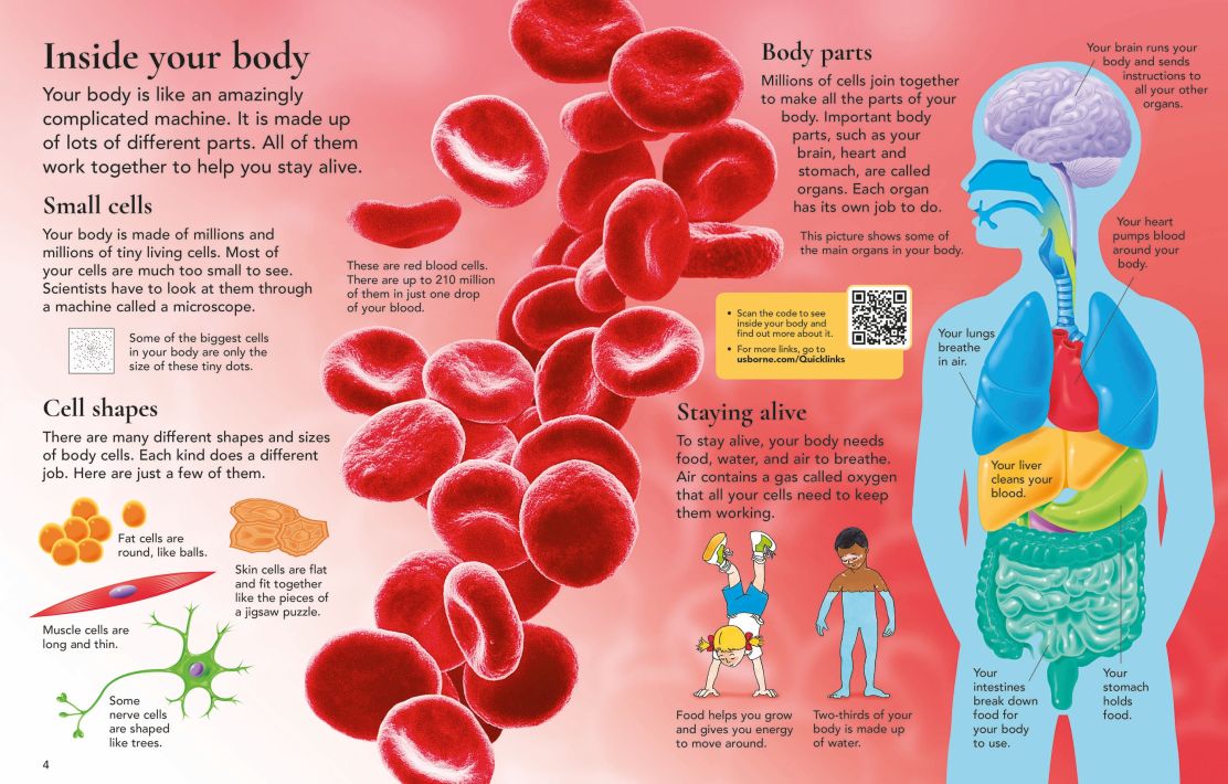 First Encyclopedia of the Human Body  (8361043165383)