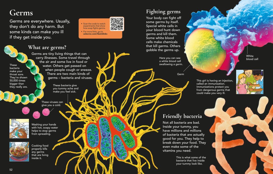 First Encyclopedia of the Human Body  (8361043165383)