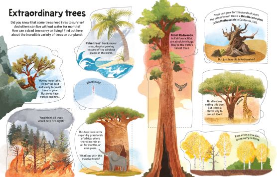See Inside Trees