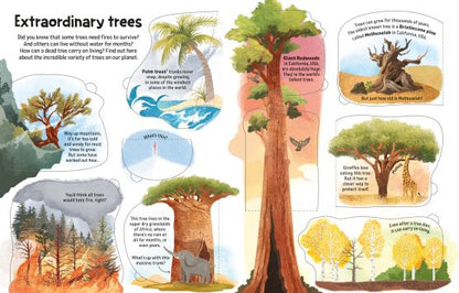 See Inside Trees