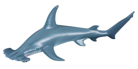 CO Hammerhead Shark (M) (7718416285895)
