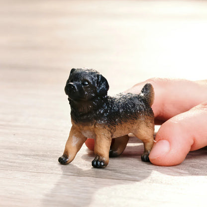 SC German Shepherd Puppy (Green Dot)