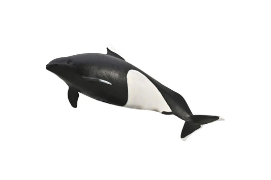 CO Dall's Porpoise (M)
