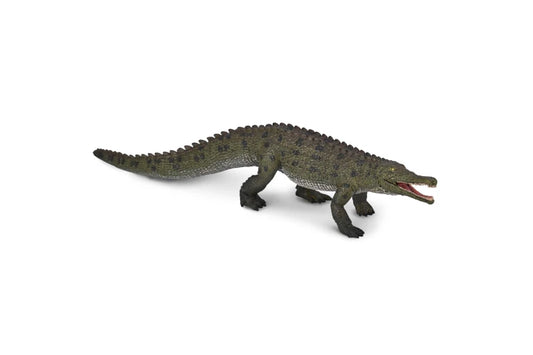 CO Colossosuchus Techniensis (XL)