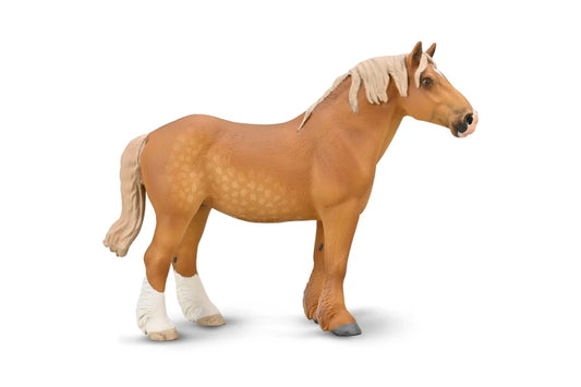CO Belgian Mare Sorrel (XL)