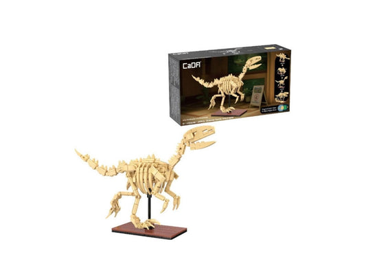 Cada Dinosaur Fossils Velociraptor