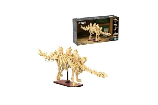 Cada Dinosaur Fossils Stegosaurus