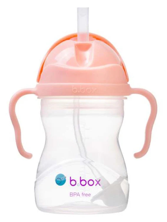 B.Box Sippy Cup V2 Tutti Frutti