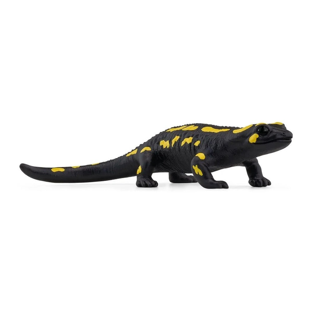 SC Fire Salamander (7930785104071)