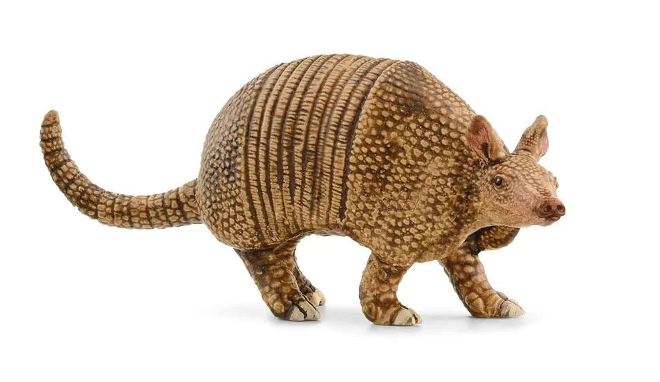 SC Armadillo (7930782613703)