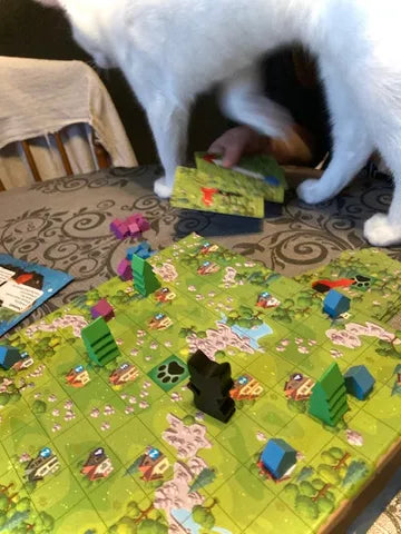 Cat Earth Game