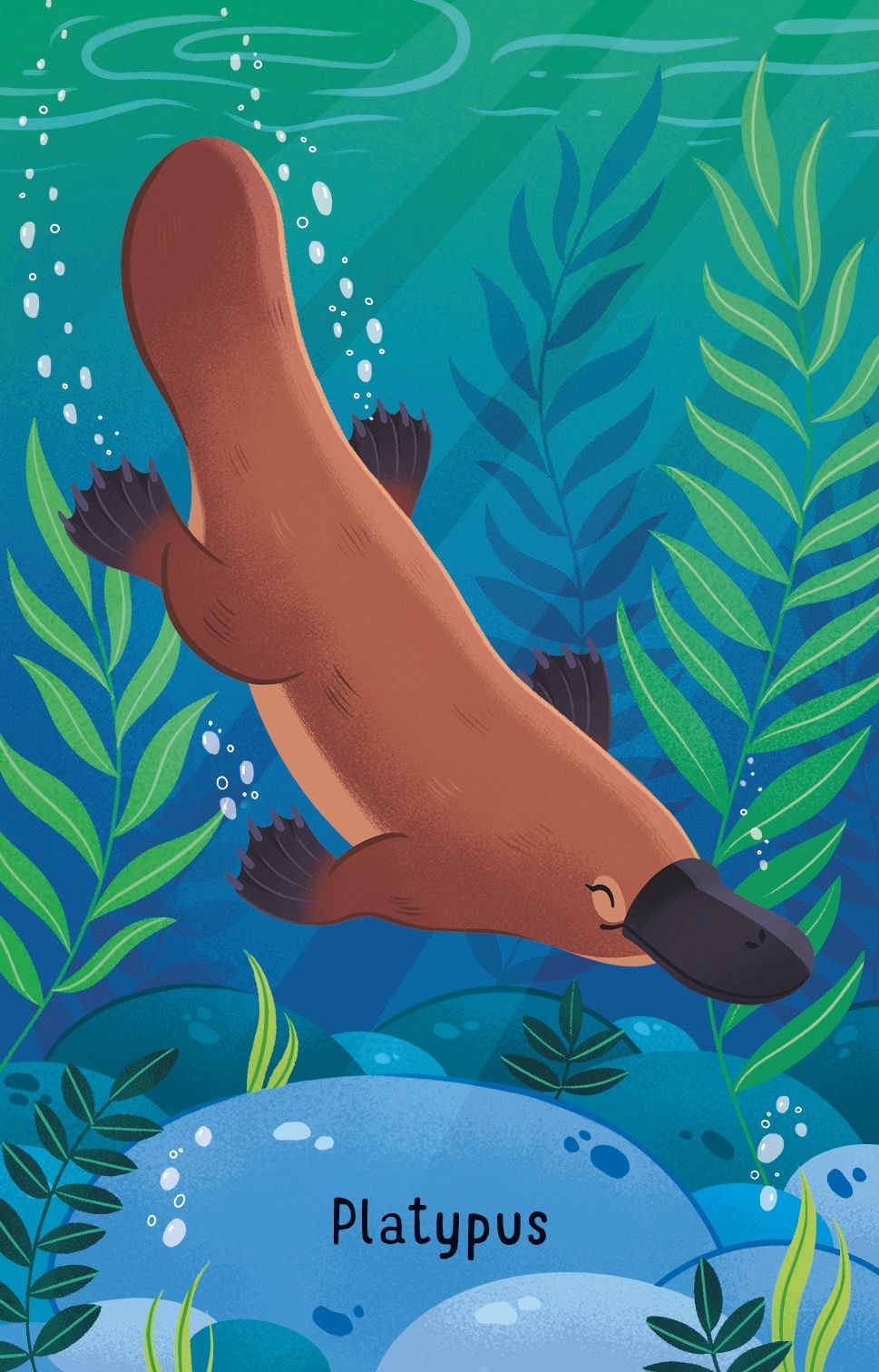 Australian Animals Snap (8344077828295)