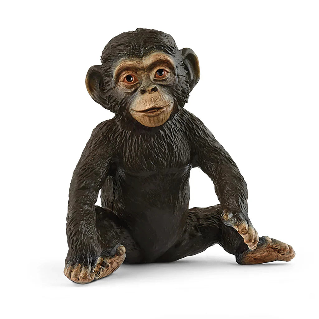 SC Chimpanzee Cub 2025 (Green Dot) (8404624113863)