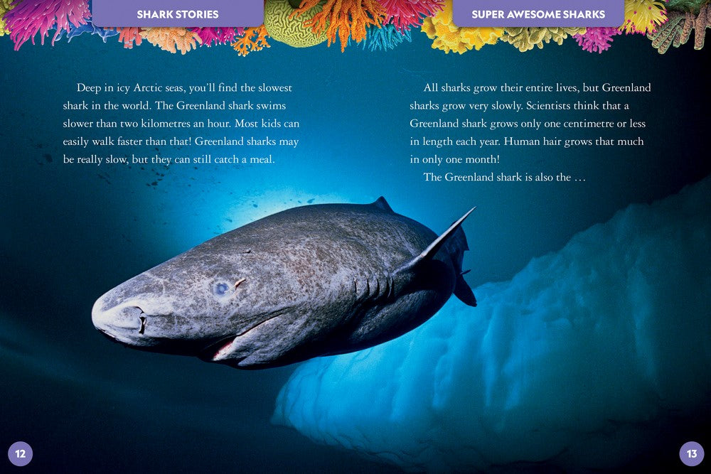 Deluxe Treasury of Shark Stories HB (8386242052295)