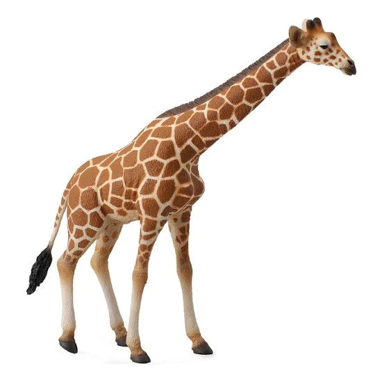 CO Reticulated Giraffe (XL) (6222625472711)