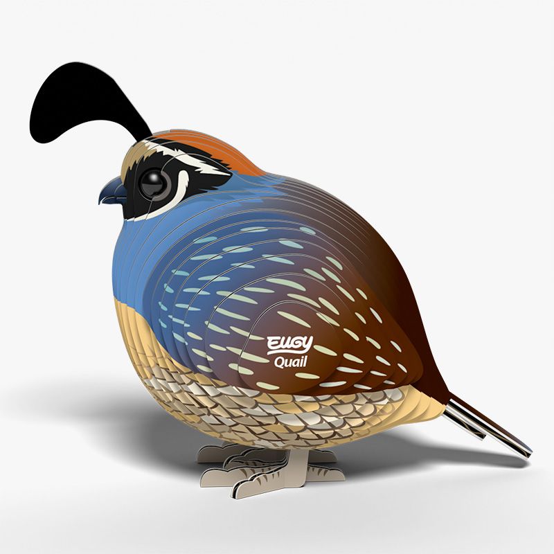 Eugy Quail (8390086557895)