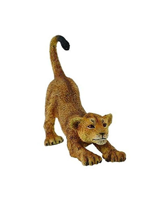 CO Lion Cub Stretching (S) (4590446706723)