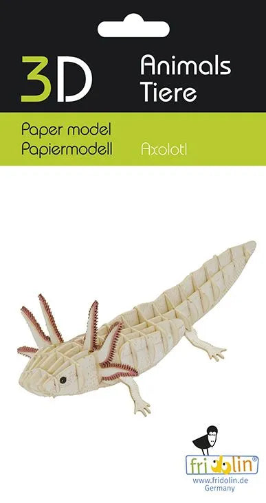3D Paper Model Axolotl