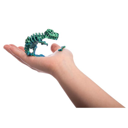 3D Sensory T-Rex Assorted (8353908555975)