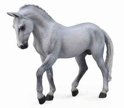 CO Trakehner Stallion Grey (XL)