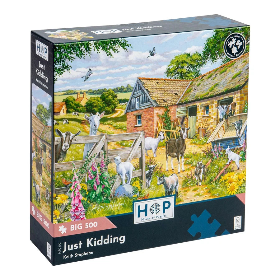 HP Just Kidding Big 500pc