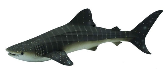 CO Whale Shark (XL) (7718416384199)