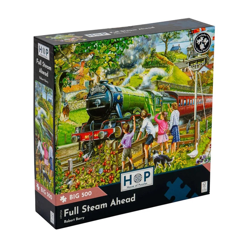 HP Full steam ahead Big 500pc