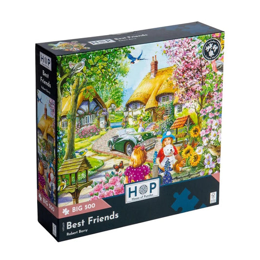 HP Best Friends Big 500pc
