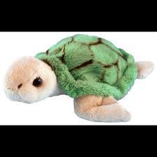 Wild Mini Green Turtle (4571395620899)