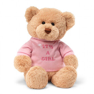 Gund 'It's a Girl' Pink Bear 30cm (8326723141831)