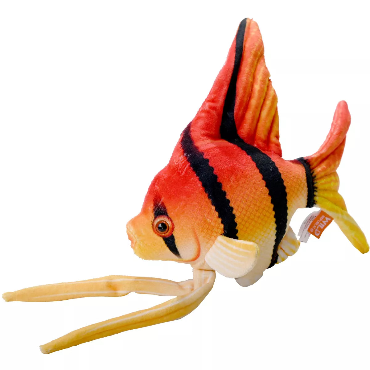 WR Coral Reef Angelfish 6" (8385783103687)