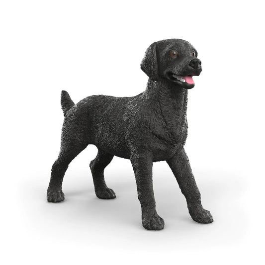 SC Black Labrador Retriever Female (Red)