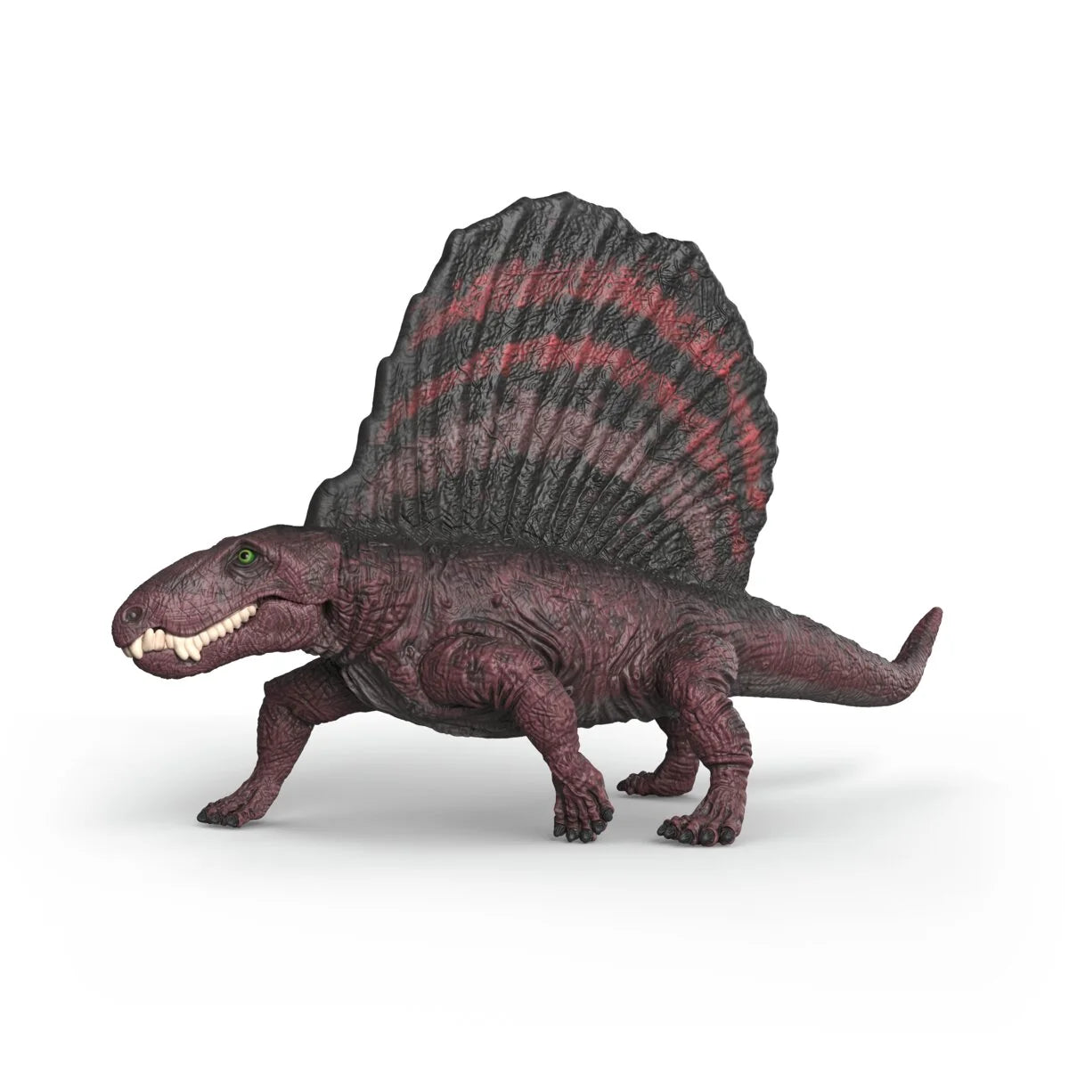 SC Dimetrodon