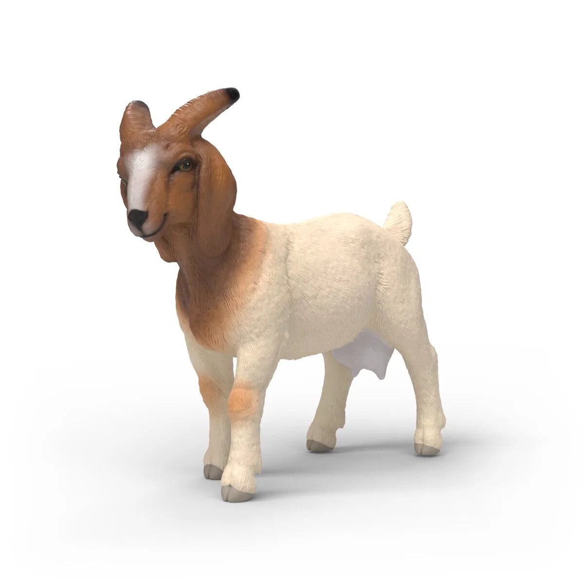 SC Boer Goat (Red Dot)
