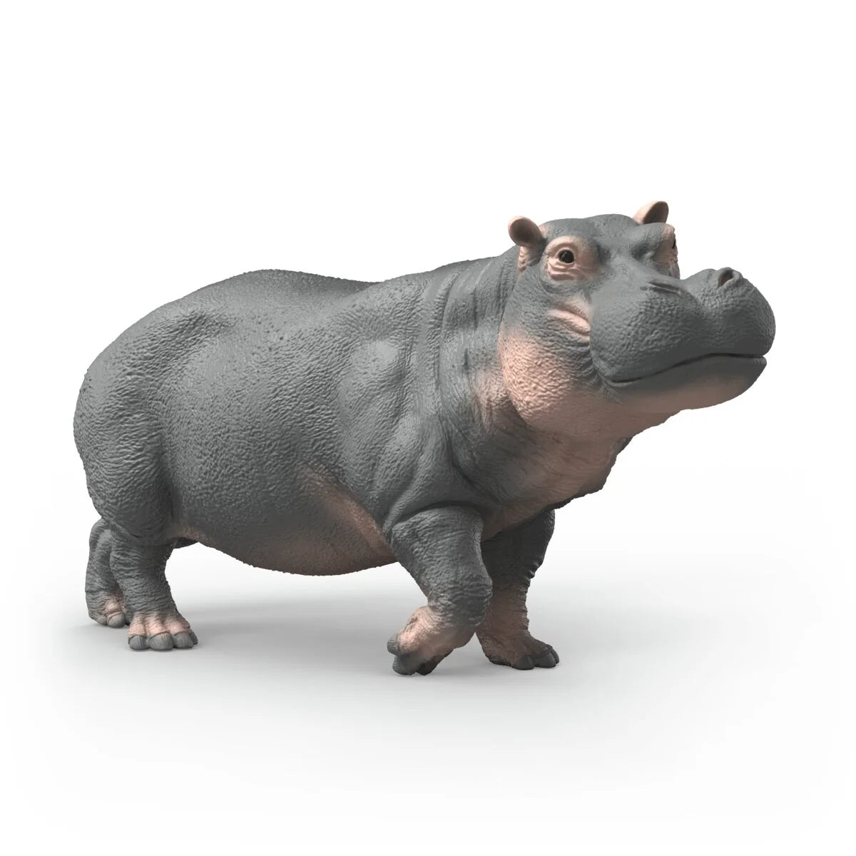SC Hippopotamus (Brown Dot)