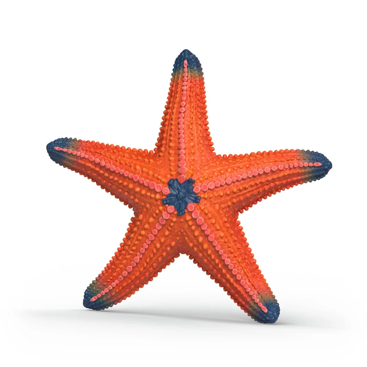 SC Starfish Color Change (Yellow Dot)