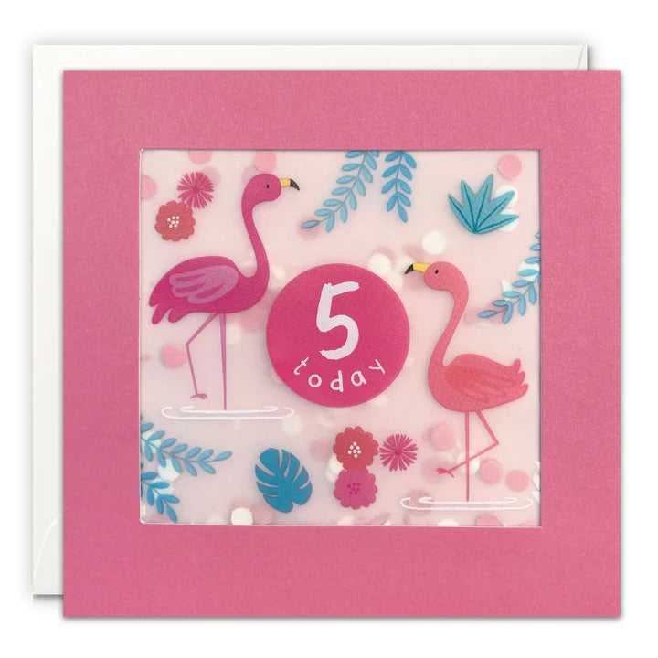 Age 5 Girl Flamingos Shakies